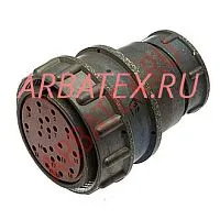 2РМДТ36КПЭ20Г6В1В розетка фото